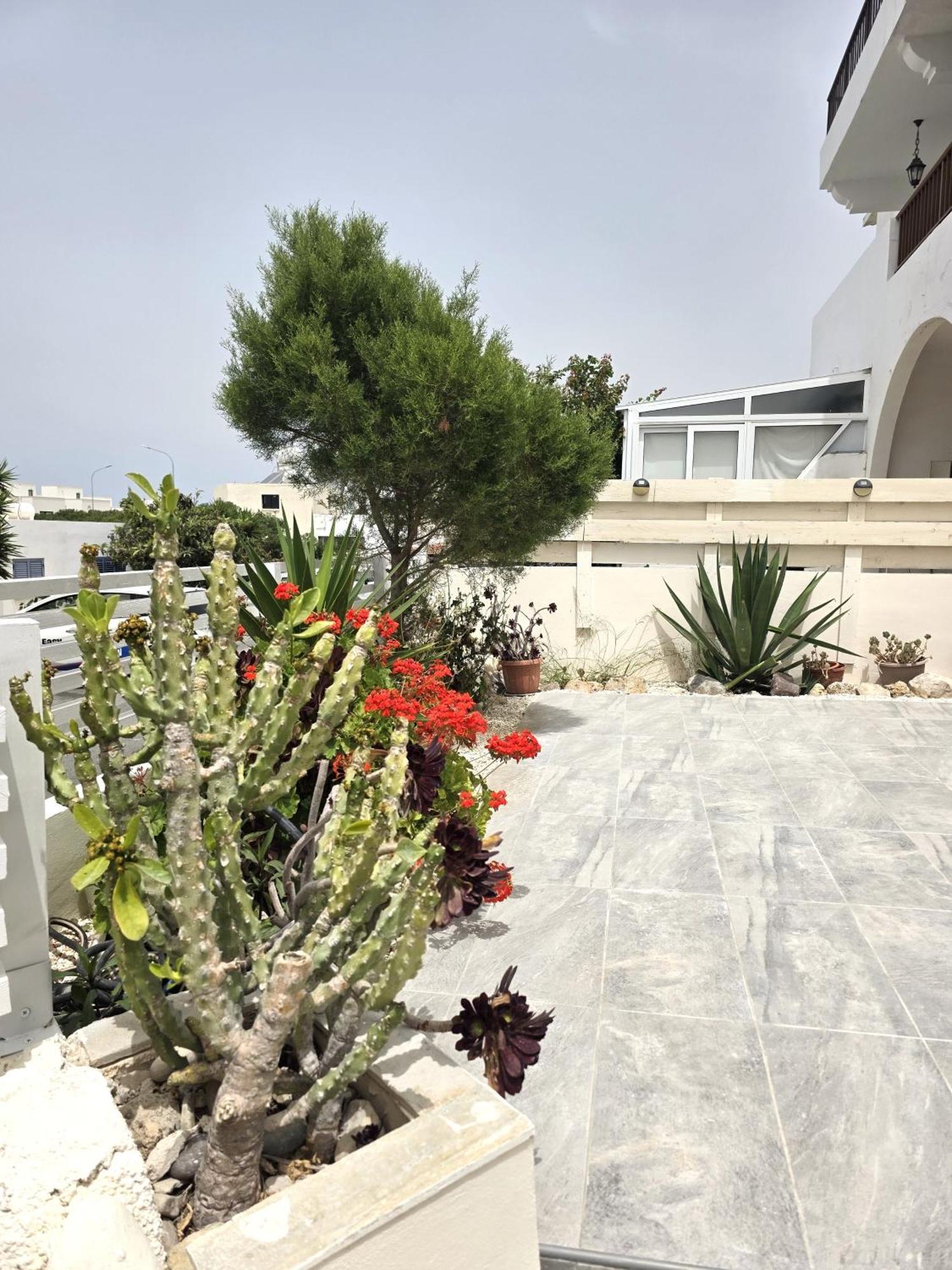 H&o Solmare By The Sea Paphos